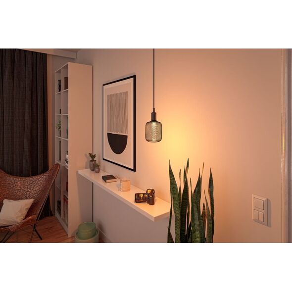 Paulmann Źródło światła LED METALLIC GLOW ZYL czarny Spiral E27 4,2W 200lm 1800K 230V 13684377 4000870290835