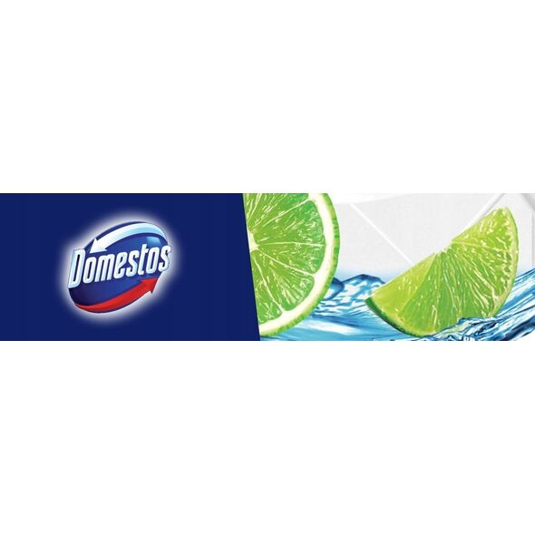 Chemia Kostka toaletowa DOMESTOS Citrus, w koszyku, 35g 13757081 8720182788528