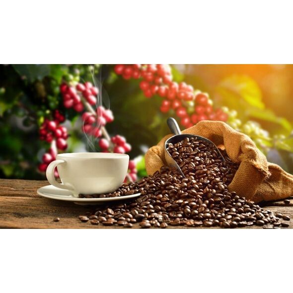Kawa ziarnista HAYB HAYB - Brasil Espresso 1kg 13757625 5904844570017