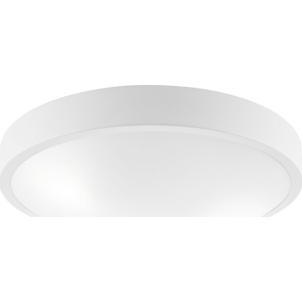 Lampa sufitowa Lamkur Lamkur Jonas 44392 plafon lampa sufitowa nowoczesny metalowy szklany klosz 2x60W E27 biały 13937039 5907687444392