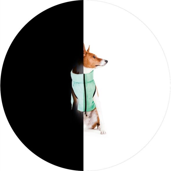 DOGGY XS 25 KURTKA LUMI ODBLASKOWA JASNOZIELONA + NIEBIESKA 13940781 5902414550551