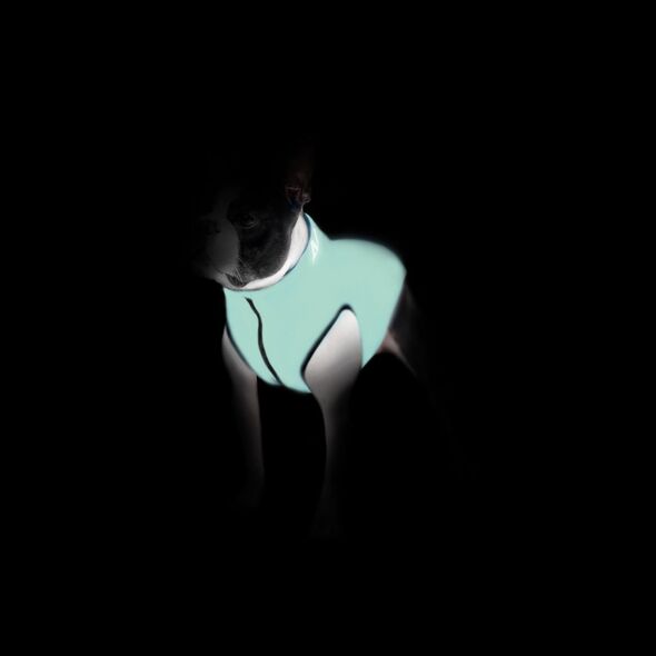 DOGGY XS 25 KURTKA LUMI ODBLASKOWA JASNOZIELONA + NIEBIESKA 13940781 5902414550551
