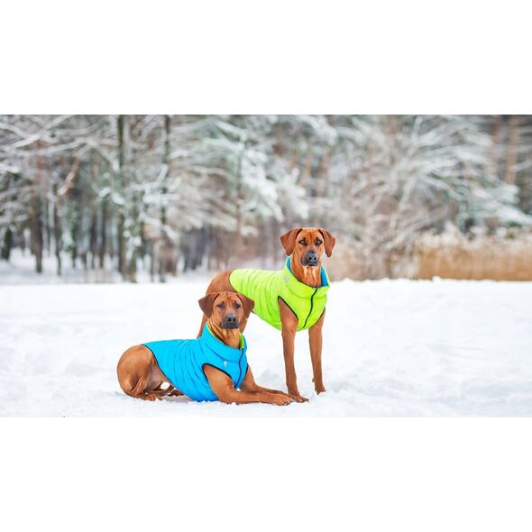 DOGGY XS 25 KURTKA LUMI ODBLASKOWA JASNOZIELONA + NIEBIESKA 13940781 5902414550551