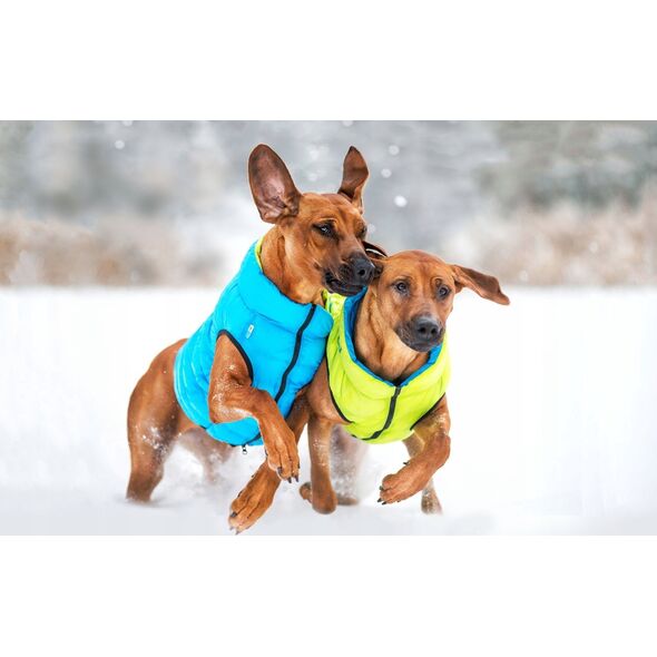 DOGGY M 45 KURTKA LUMI ODBLASKOWA JASNOZIELONA + NIEBIESKA 13940789 5902414550575