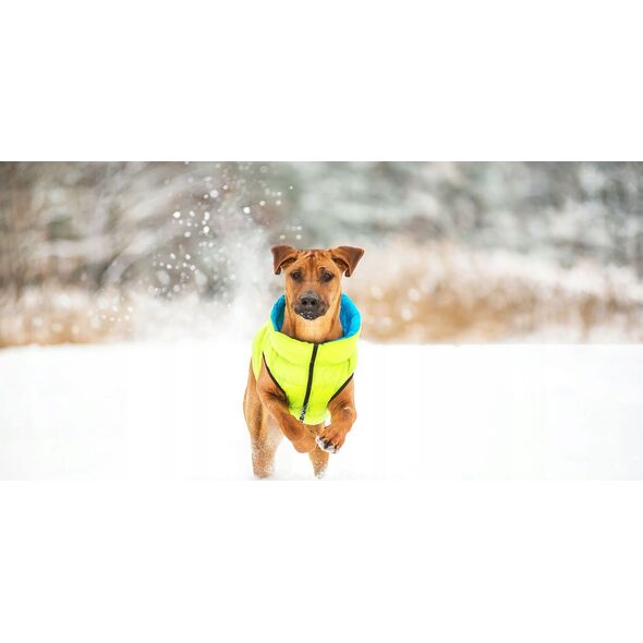 DOGGY M 45 KURTKA LUMI ODBLASKOWA JASNOZIELONA + NIEBIESKA 13940789 5902414550575