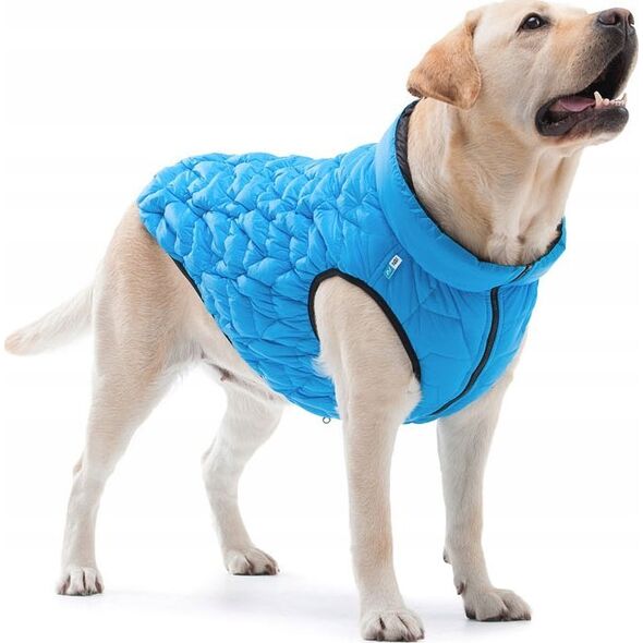Kurtka męska DOGGY L 55 KURTKA UNI NIEBIESKA 13940792 5902414550698