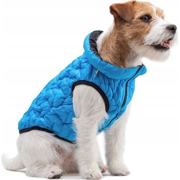 Kurtka męska DOGGY L 55 KURTKA UNI NIEBIESKA 13940792 5902414550698