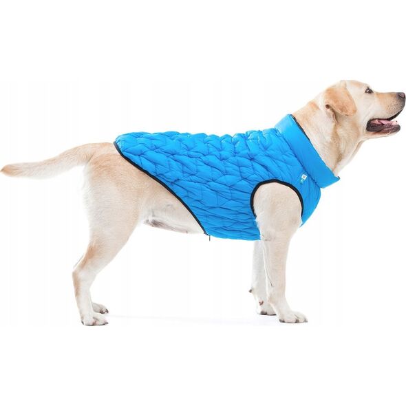 Kurtka męska DOGGY L 55 KURTKA UNI NIEBIESKA 13940792 5902414550698
