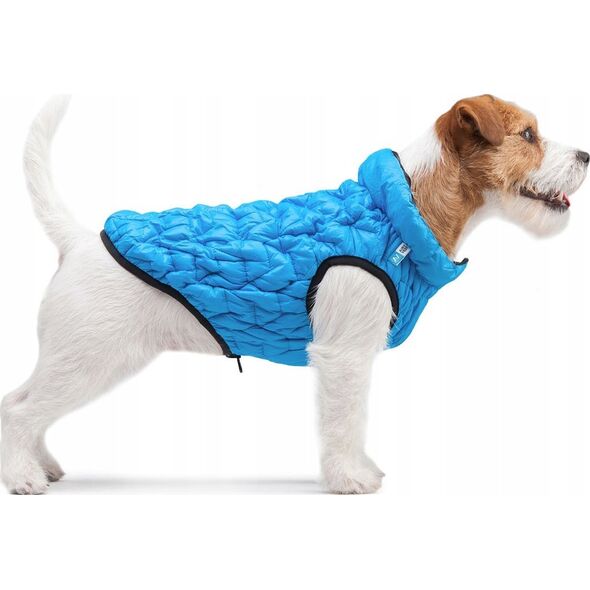 Kurtka męska DOGGY L 55 KURTKA UNI NIEBIESKA 13940792 5902414550698