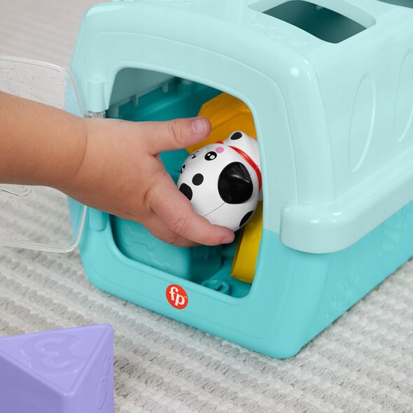 Fisher Price Fisher-Price. Pets Sorter Transporter z klockami 13991124 194735199198