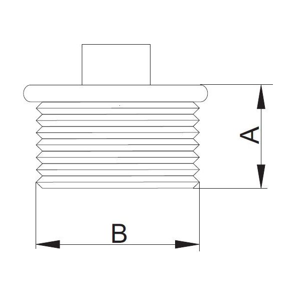 KOREK Z OBRZEŻEM OCYNK GZ 2"  HYDROLAND  // ŁH.KOR.50 13998285 5900308737620