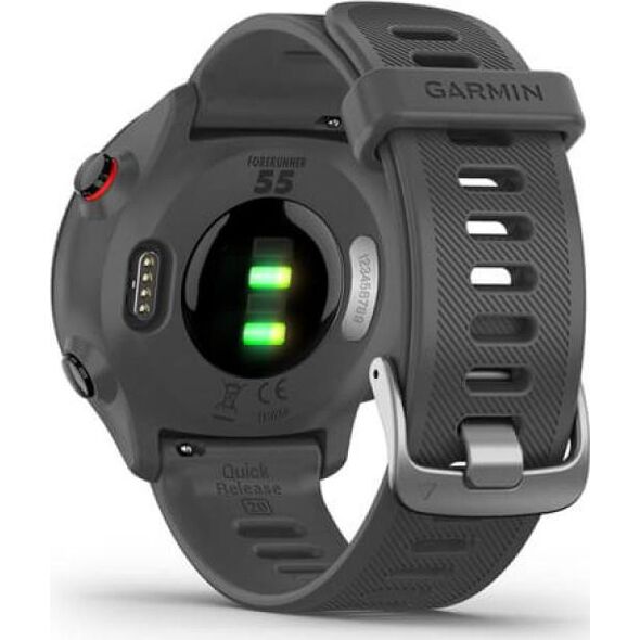 Zegarek sportowy Garmin Forerunner 55 Szary  (010-02562-13)