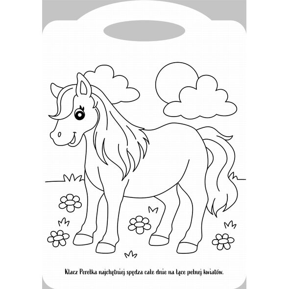 Books And Fun Książeczka Wykrojnik. Zwierzęta na wsi 14079440 9788382495683