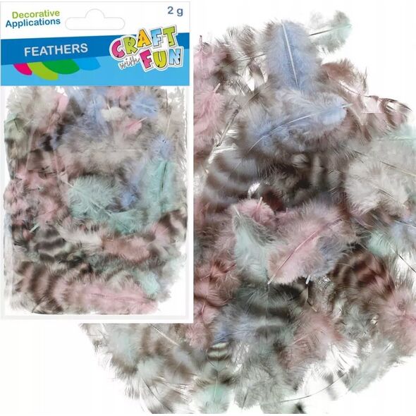Craft with Fun OZDOBA DEK PIORKA 2G CENTKI PASTEL CF PBH 12/288 14222989 5905523637632