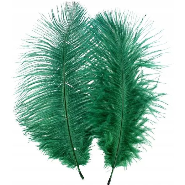Craft with Fun OZDOBA DEK PIORKA 15-20CM 2SZT ZIEL CF 12/864 14223030 5905523637526