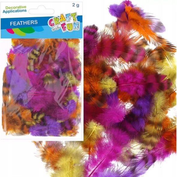 Craft with Fun OZDOBA DEK PIORKA 2G CENTKI KOL CF PBH 12/288 14223032 5905523637700