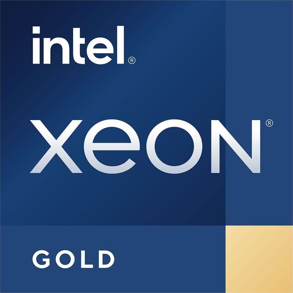 Procesor serwerowy Intel Xeon Gold 6238R, 2.2 GHz, 38.5 MB, OEM (CD8069504448701)