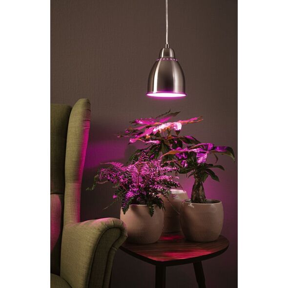 Lampa wisząca Paulmann Neordic Hilla  lampa wisząca max. 1x40W E27 żelazo szczotkowane 230V metal