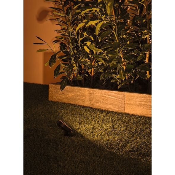Kinkiet Paulmann Reflektor ogrodowy Plug & Shine STING LED 3x 6.3W 2200K IP67 24V antracyt/ aluminium