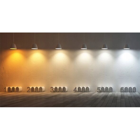 Kinkiet TKKRYWULT Tk Lighting Top 6030 kinkiet plafon lampa ścienna sufitowa spot 1x10W GU10 czarny/złoty