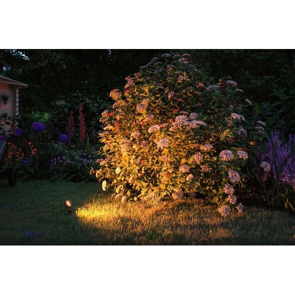 Kinkiet Paulmann Reflektor ogrodowy Plug & Shine STING LED 6.3W 2200K IP67 24V antracyt/ aluminium