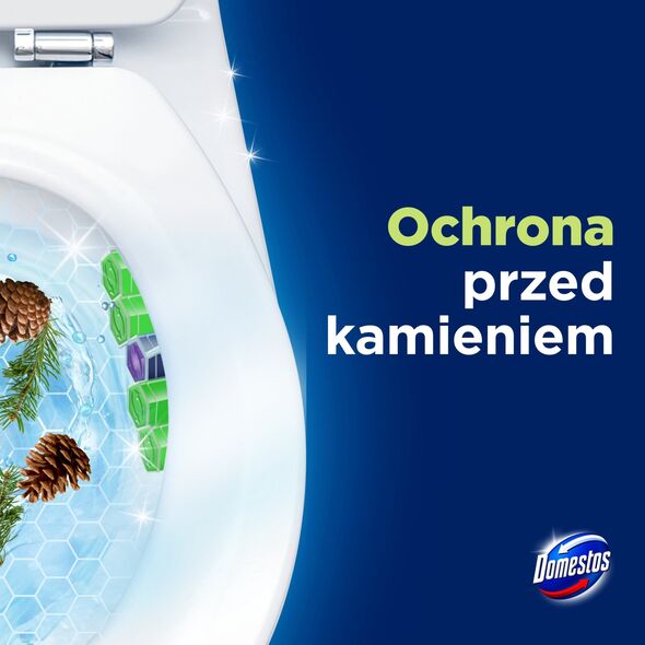 Zawieszka do WC Domestos Power 5 50g Pine (2)
