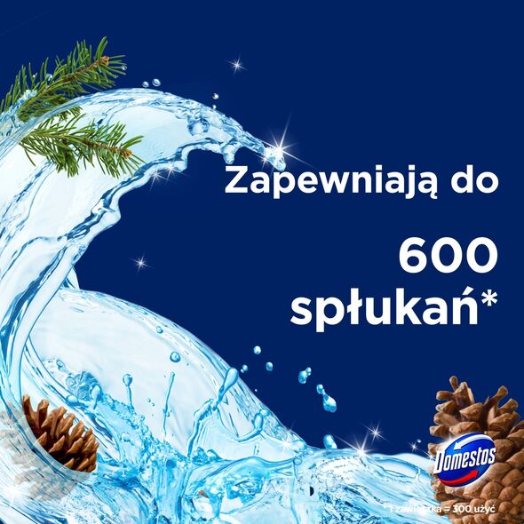 Zawieszka do WC Domestos Power 5 50g Pine (2)