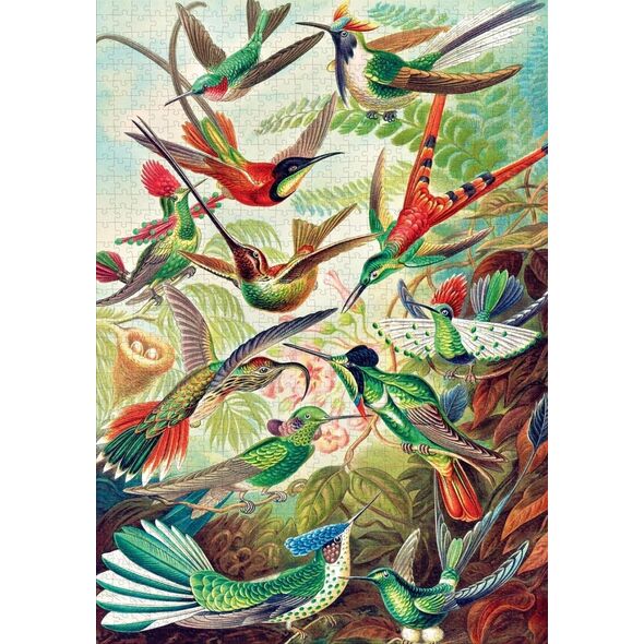 Good Loot Good Loot Puzzle: Ernst Haeckel - Hummingbirds (1000 elementów)