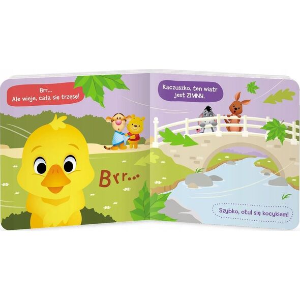 Ameet Książeczka Disney Maluch. Puszysta Kaczuszka DBF-9217