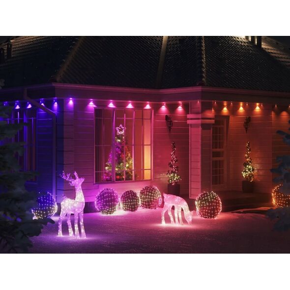 Lampki choinkowe Twinkly Twinkly Strings Smart LED 750 RGB (Multicolor), 60m, Juodas wire|Twinkly