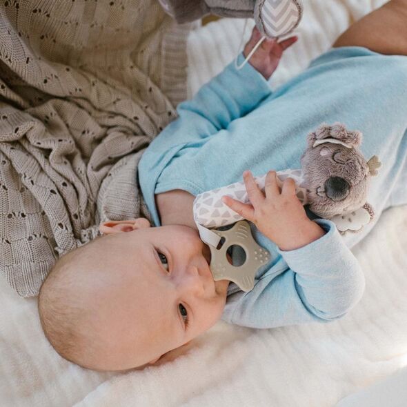 BABY ONO 1633 PISZCZE Z GRYZAKIEM KOALA   COCO