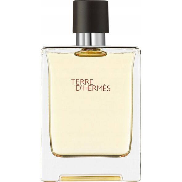 Hermes Terre D'hermes Eau De Toilette Purškiklis 100ml