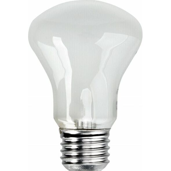 Elinchrom Żarówka E27/196V/100W (23002)