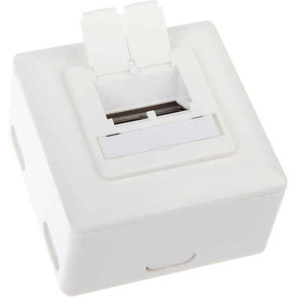 InLine Gniazdo natynkowe sieciowe 2x RJ45 Cat.6 - białe poziome (75602J)