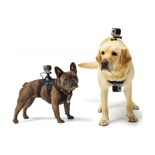 GoPro Fetch (Dog Harness) (ADOGM-001)
