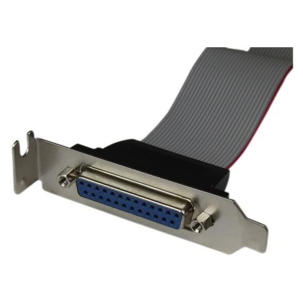 StarTech DB-25 - IDC-26, 0.4m, Szary (PLATE25F16LP)