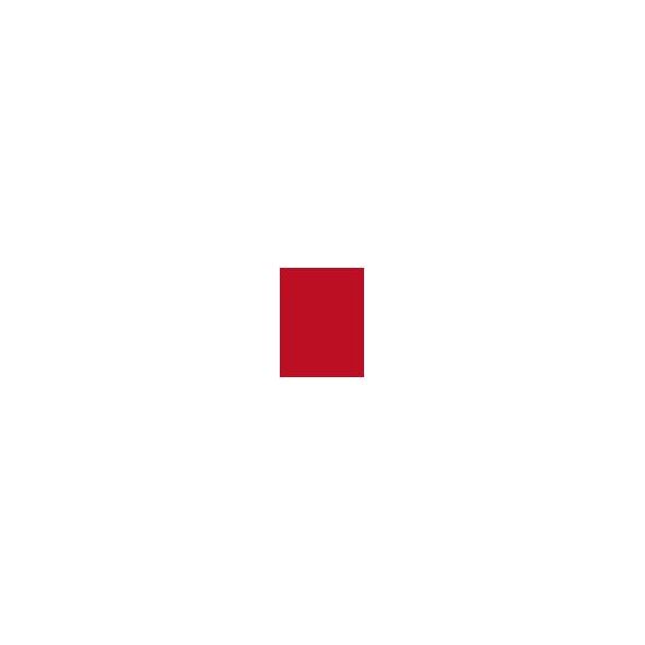Shiseido Vailed Rouge pomadka do ust RD506 2,2g