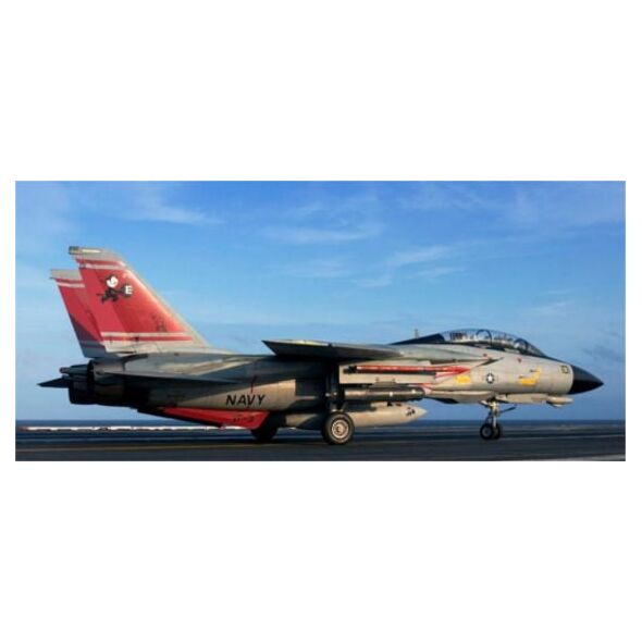 Revell F14D Super Tomcat (03960)