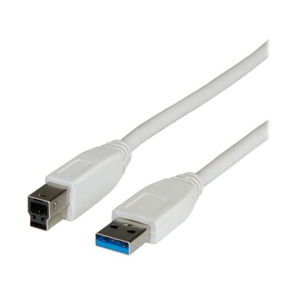 Kabel USB Secomp USB-A - 0.8 m Biały (11.99.8869)