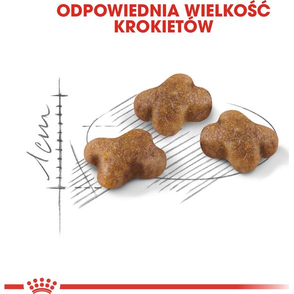 Royal Canin Kitten karma sucha dla kociąt od 4 do 12 miesiąca życia 4kg