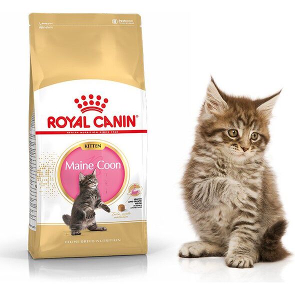 Royal Canin Maine Coon Kitten karma sucha dla kociąt, do 15 miesiąca, rasy maine coon 2kg