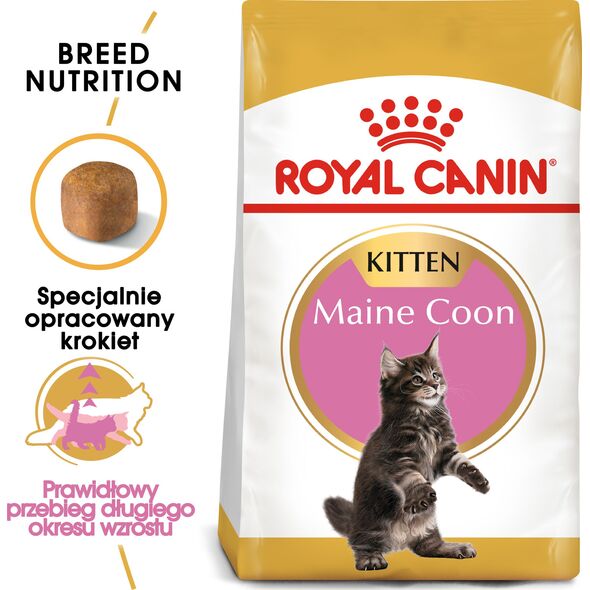 Royal Canin Maine Coon Kitten karma sucha dla kociąt, do 15 miesiąca, rasy maine coon 2kg