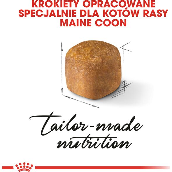 Royal Canin Maine Coon Kitten karma sucha dla kociąt, do 15 miesiąca, rasy maine coon 2kg