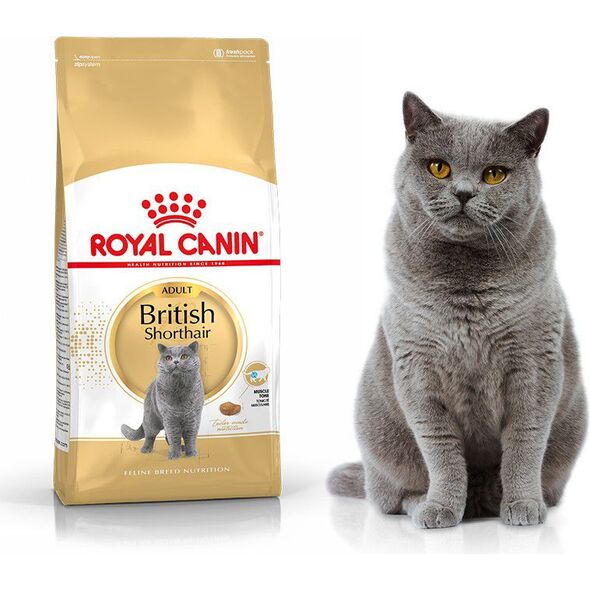 Royal Canin British Shorthair karma sucha dla kotów dorosłych rasy brytyjski krótkowłosy 2kg