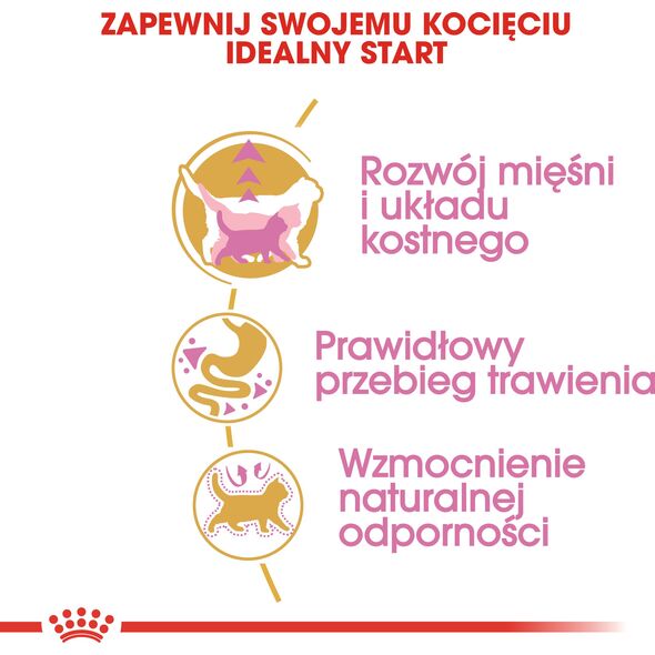 Royal Canin British Shorthair Kitten karma sucha dla kociąt, do 12 miesiąca, rasy brytyjski krótkowłosy 2kg