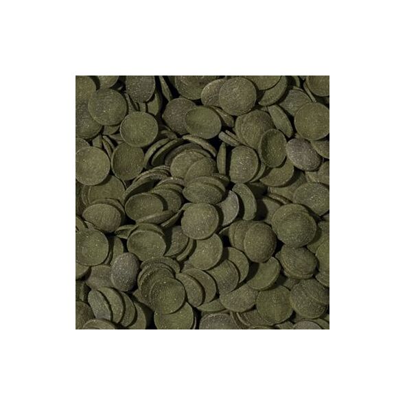 Tropical Green Algae Wafers tonące roślinne wafelki dla ryb 100ml