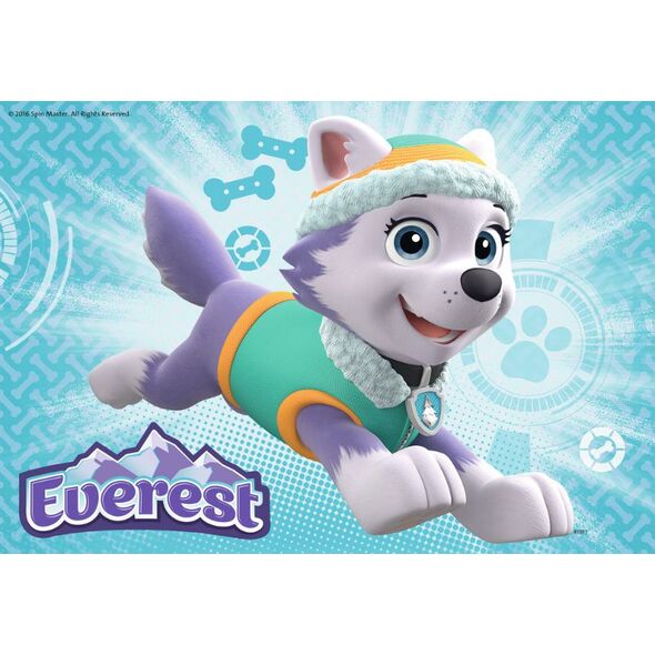 Ravensburger Puzzle 2x24 Psi Patrol Sky&Everest (091522)