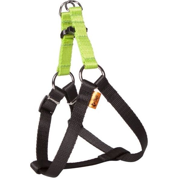 Dingo Fred Energy rozmiar 60 szer. 1.6 cm Zielone (94614)