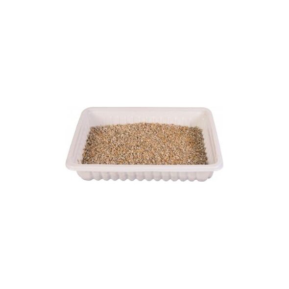 Trixie TRAWA DLA KOTA W POJEMNIKU 100g
