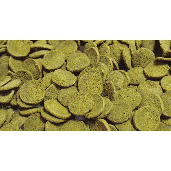 Sera WELS-CHIPS PUSZKA 100 ml